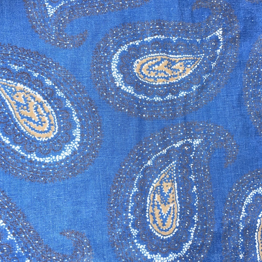 Vintage Blue Paisley Work Dress Cotton Scalloped Button‎ Edge